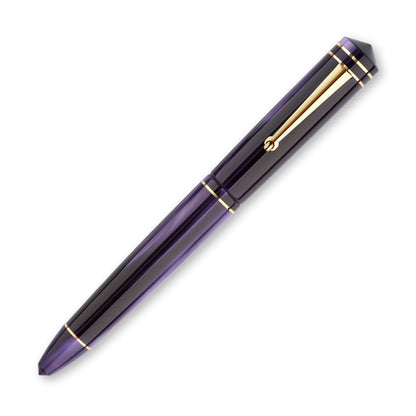 Delta Write Balance Purple Fountain Pen